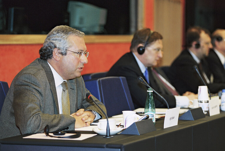 Meeting at the European Parliament in Strasbourg