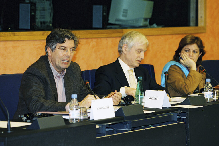 Fotografie 1: Meeting with MEPs JONCKHEER and HERZOG at the EP in Strasbourg.