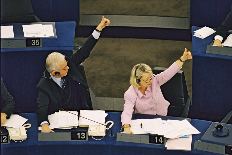 Fotografi 1: Plenary session and vote on the European Constitution.