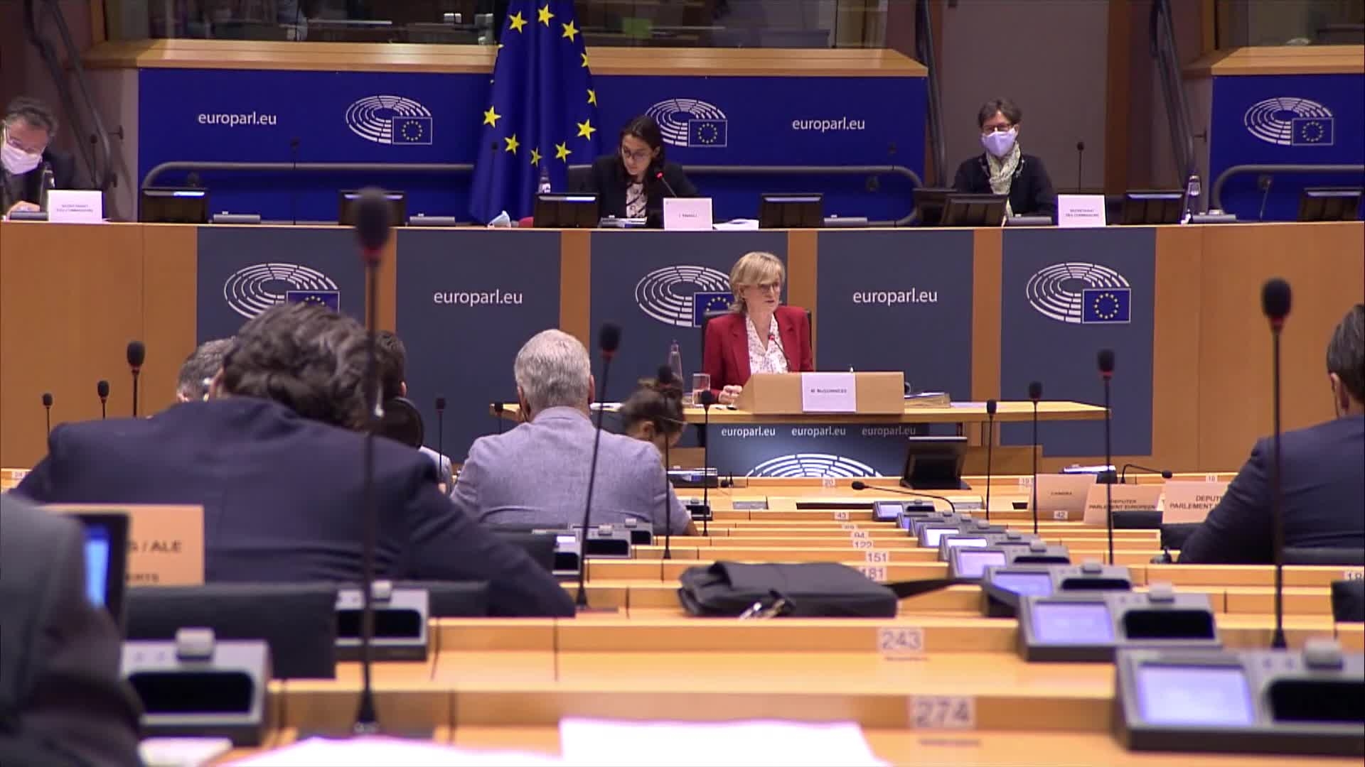 Hearing of Mairead McGUINNESS, Commissioner-designated for Financial Services, Financial Stability and the Capital Markets Union: questions and answers (part 1b)