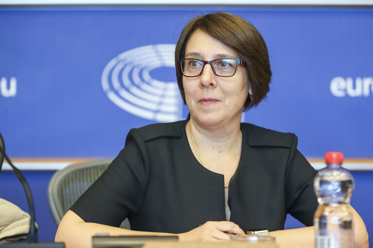 Fotografi 7: DG LINC meeting - The Ambassador and Permanent Representative of Romania presents the priorities of the Romanian Presidency to the Romanian speaking interpreters in the EP