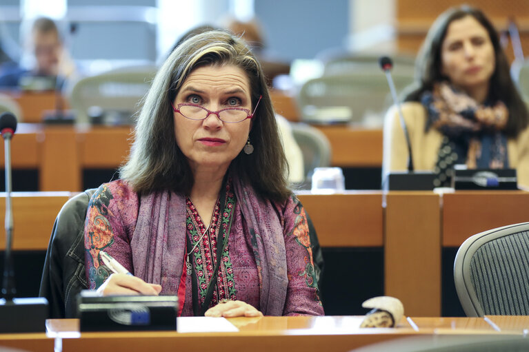 Fotografie 13: DG LINC meeting - The Ambassador and Permanent Representative of Romania presents the priorities of the Romanian Presidency to the Romanian speaking interpreters in the EP