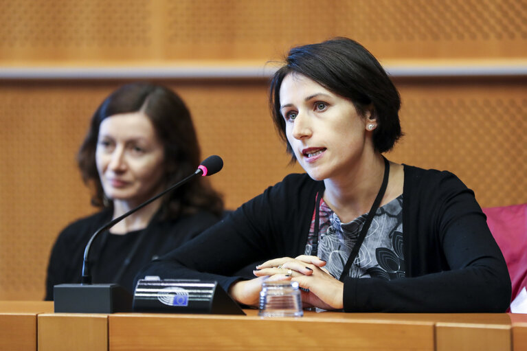 Fotó 5: DG LINC meeting - The Ambassador and Permanent Representative of Romania presents the priorities of the Romanian Presidency to the Romanian speaking interpreters in the EP