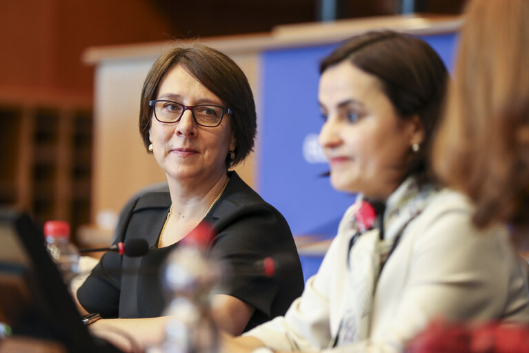 Fotografie 18: DG LINC meeting - The Ambassador and Permanent Representative of Romania presents the priorities of the Romanian Presidency to the Romanian speaking interpreters in the EP