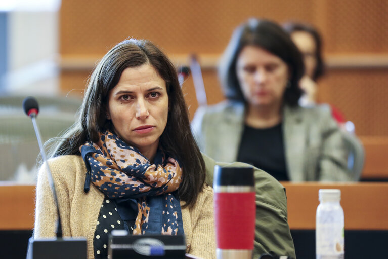 Fotografie 12: DG LINC meeting - The Ambassador and Permanent Representative of Romania presents the priorities of the Romanian Presidency to the Romanian speaking interpreters in the EP