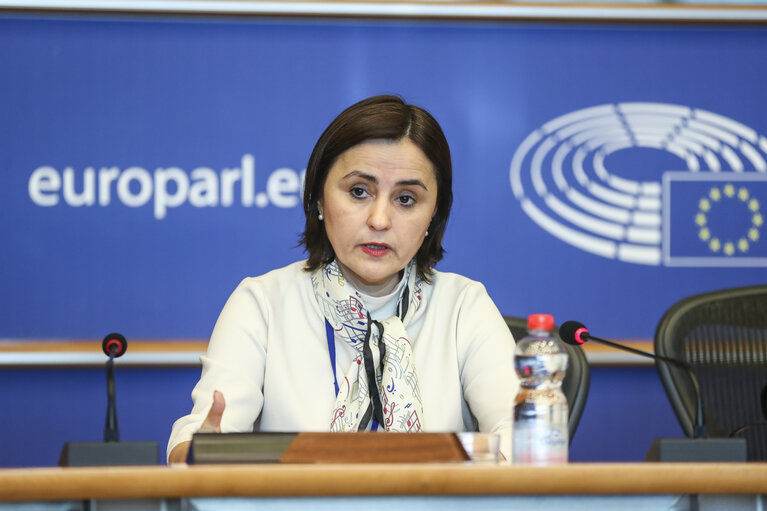 DG LINC meeting - The Ambassador and Permanent Representative of Romania presents the priorities of the Romanian Presidency to the Romanian speaking interpreters in the EP