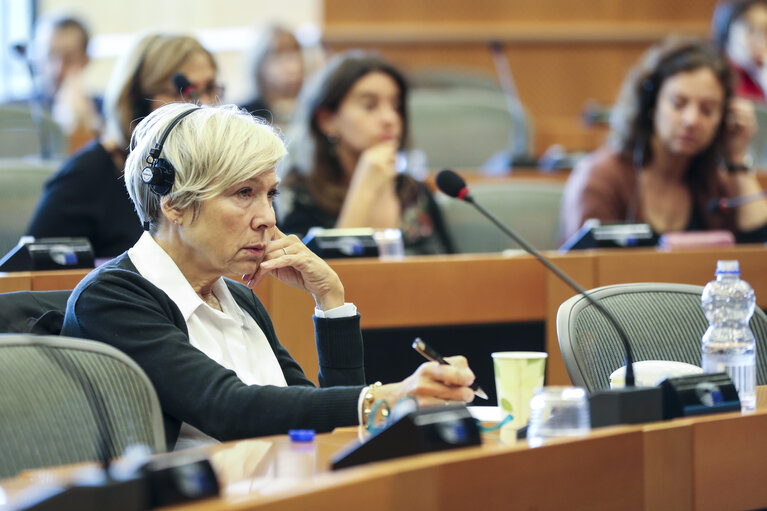 Fotografi 14: DG LINC meeting - The Ambassador and Permanent Representative of Romania presents the priorities of the Romanian Presidency to the Romanian speaking interpreters in the EP