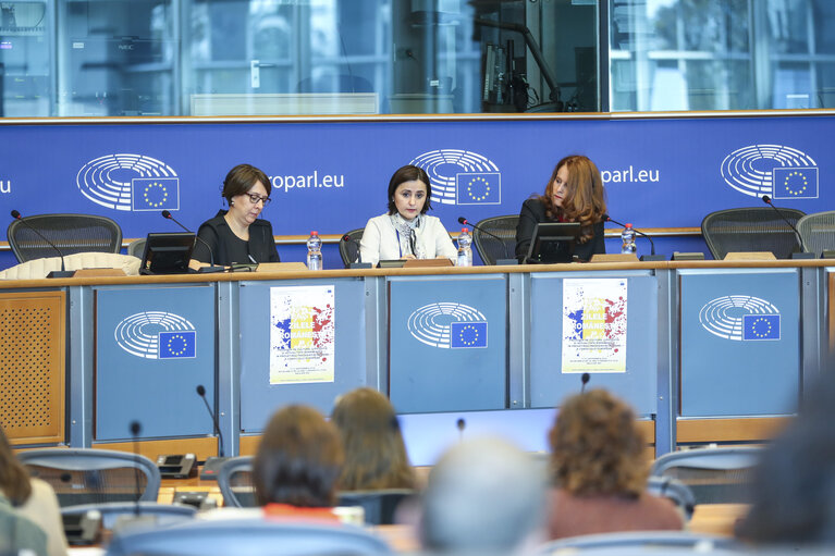 Fotografie 10: DG LINC meeting - The Ambassador and Permanent Representative of Romania presents the priorities of the Romanian Presidency to the Romanian speaking interpreters in the EP