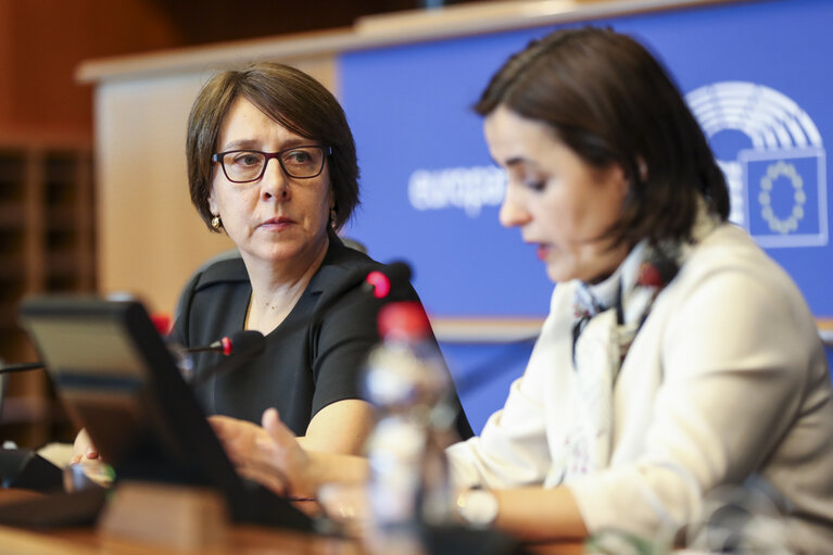 Fotografie 16: DG LINC meeting - The Ambassador and Permanent Representative of Romania presents the priorities of the Romanian Presidency to the Romanian speaking interpreters in the EP