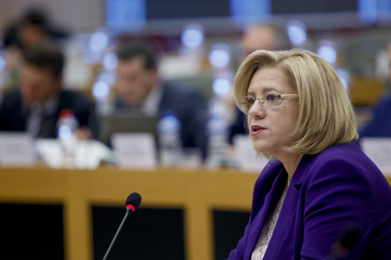 Foto 12: CONT committee meeting