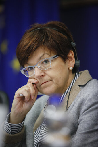 Foto 7: CONT committee meeting