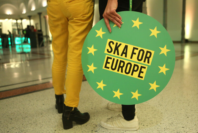 Greens congress in Berlin