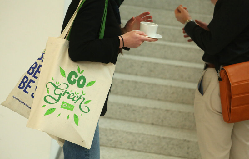 Greens congress in Berlin