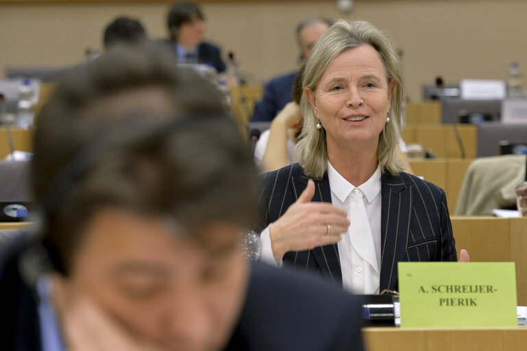 Foto 8: Joint CONT-AGRI committee - Hearing on ' LEADER experiences - lessons learned and effectiveness of EU funds for rural development '