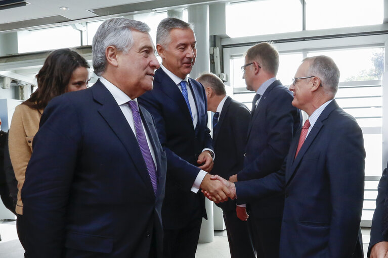 Billede 19: Visit of the President of Montenegro . Official welcome