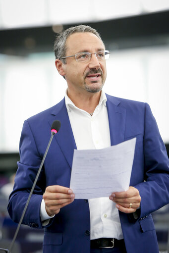 Foto 4: Piernicola PEDICINI in the EP in Strasbourg