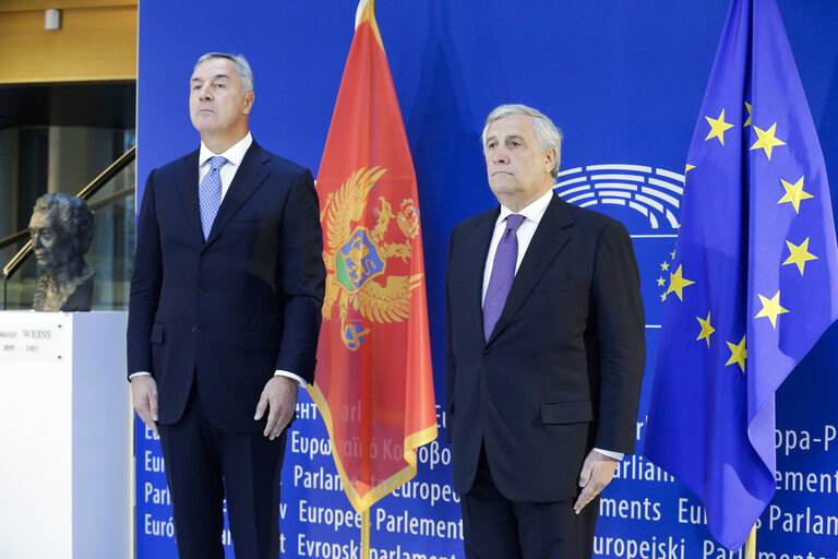 Billede 1: Visit of the President of Montenegro . Official welcome