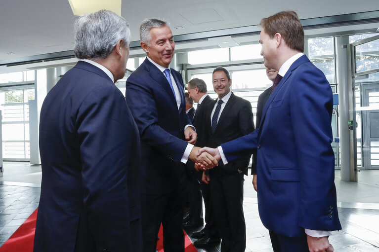 Foto 11: Visit of the President of Montenegro . Official welcome