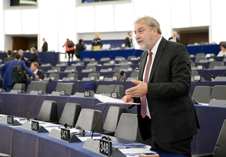 Nuotrauka 11: EP plenary session- Votes followed by explanations of votes