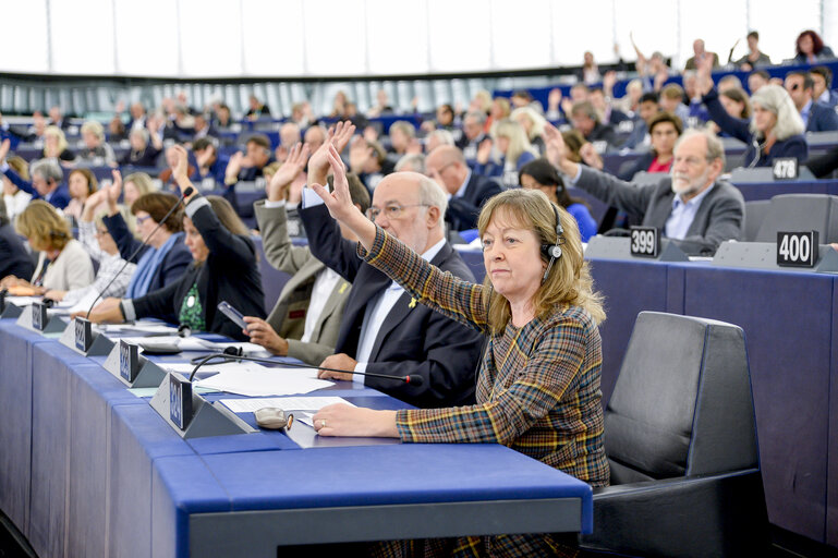 Jill EVANS in the EP in Strasbourg