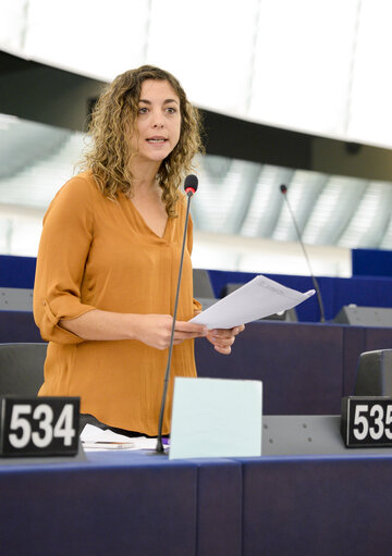 Nuotrauka 9: EP plenary session- Votes followed by explanations of votes