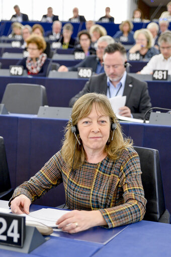 Photo 2 : Jill EVANS in the EP in Strasbourg