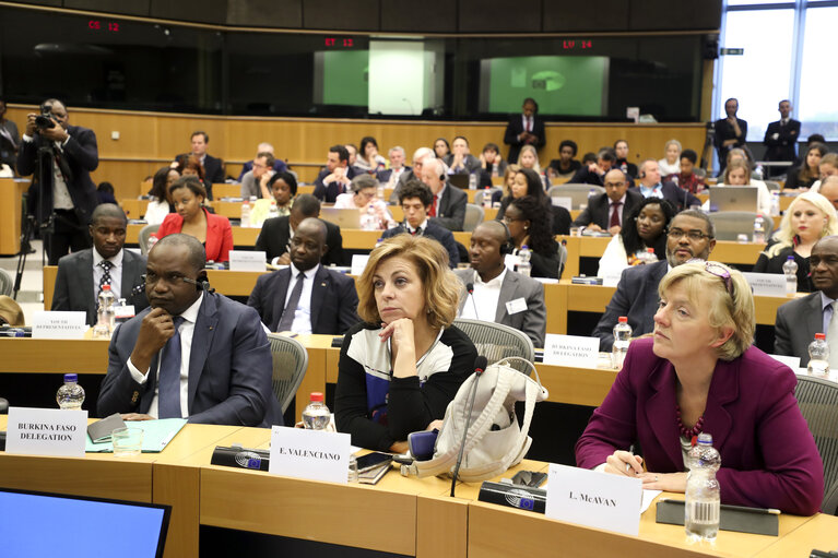 Fotogrāfija 9: Public session of the S&D Africa week - ' Africa-Europe Partnership: A Vision Beyond Migration '