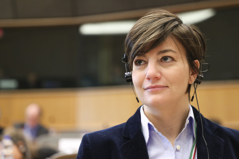 Zdjęcie 6: Lara COMI in the IMCO committee