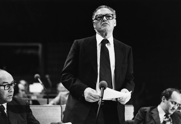 Photo 2: Plenary session in May 1977