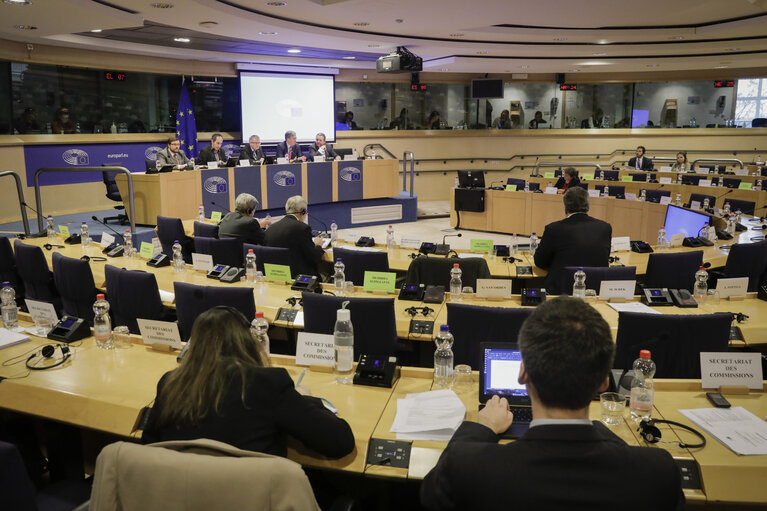 Zdjęcie 1: SEDE committee meeting. Public hearing : The threats posed by drones to Europe's armed forces