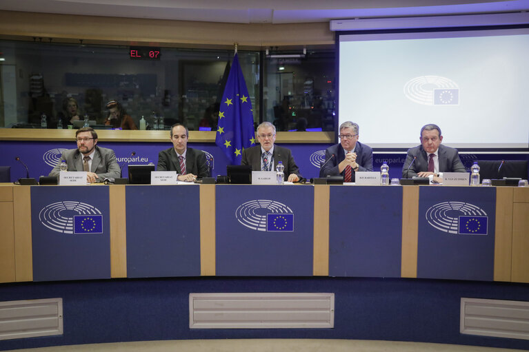 Zdjęcie 11: SEDE committee meeting. Public hearing : The threats posed by drones to Europe's armed forces