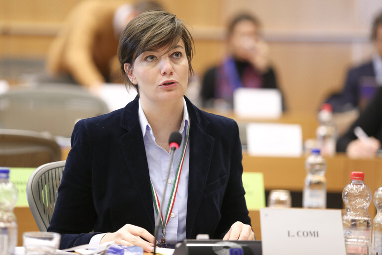 Zdjęcie 12: Lara COMI in the IMCO committee