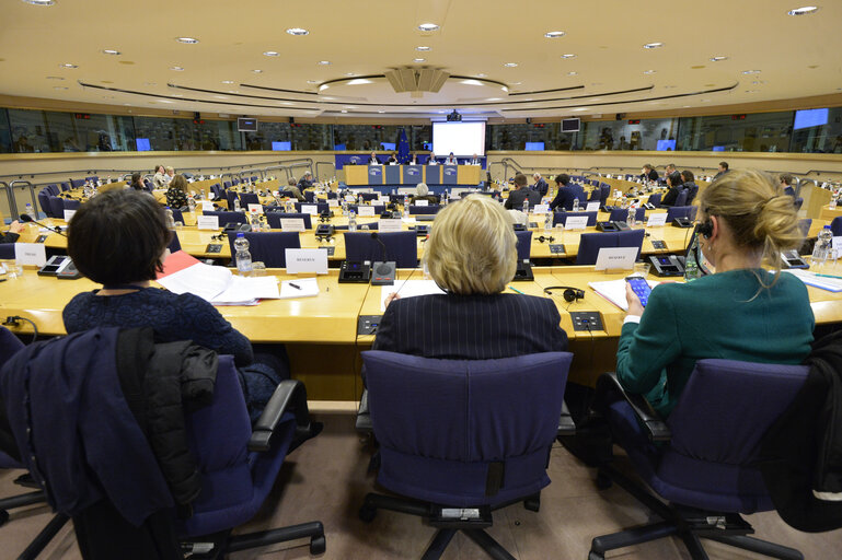 Fotografi 11: SEDE meeting - EU preparedness against CBRN weapons