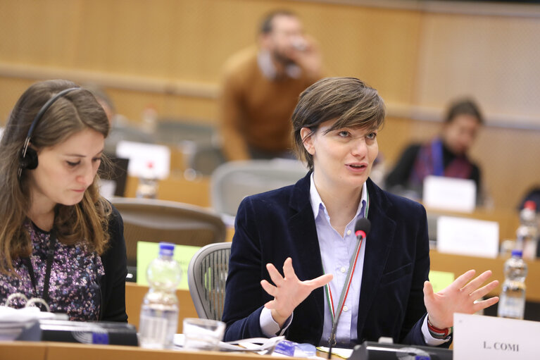 Zdjęcie 11: Lara COMI in the IMCO committee