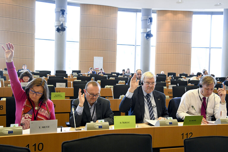 Valokuva 10: Bronis ROPE in ITRE committee