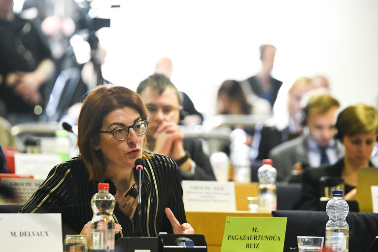 Fotogrāfija 4: TAX3 committee - Public hearing on Combatting money laundering in the EU banking sector