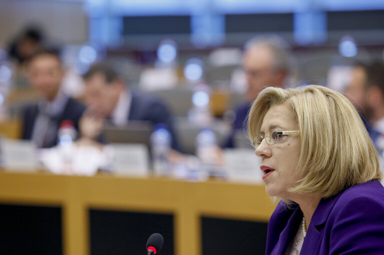 Foto 13: CONT committee meeting