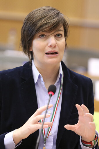 Zdjęcie 10: Lara COMI in the IMCO committee