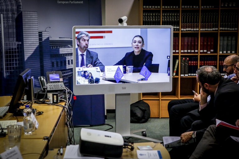 After the US mid-term elections: Where next for American politics?