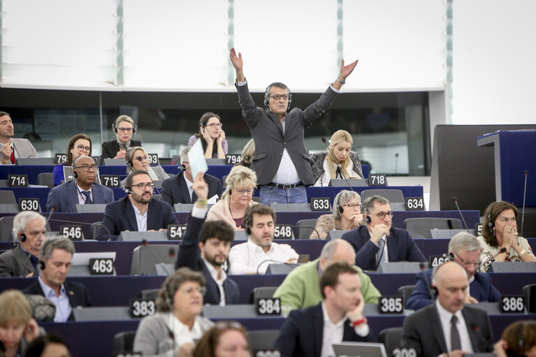 Photo 10 : EP penary session - Voting session on EU-Japan partnership agreement and budget 2019