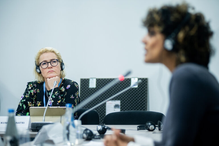 Foto 5: Miapetra Kumpula-Natri - delegation of European Parliament to COP24 during the meeting with Ms Anukriti Hittle, Hawaii Climate Change Mitigation and Adaptation Coordinator at HawaiiDepartment of Land and Natural Resources