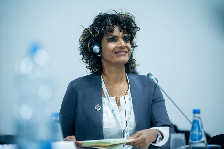 Fotografi 11: Ms Anukriti Hittle, Hawaii Climate Change Mitigation and Adaptation Coordinator at HawaiiDepartment of Land and Natural Resources during the meeting with delegation of European Parliament to COP24.