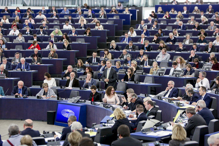 Valokuva 4: EP penary session - Voting session on EU-Japan partnership agreement and budget 2019