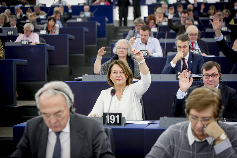 Billede 3: Nathalie GRIESBECK in the EP in Strasbourg