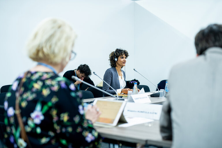 Foto 7: Ms Anukriti Hittle, Hawaii Climate Change Mitigation and Adaptation Coordinator at HawaiiDepartment of Land and Natural Resources during the meeting with delegation of European Parliament to COP24.