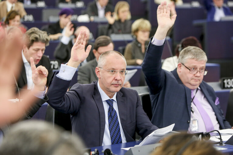 Fotó 3: Sergey STANISHEV in the EP in Strasbourg