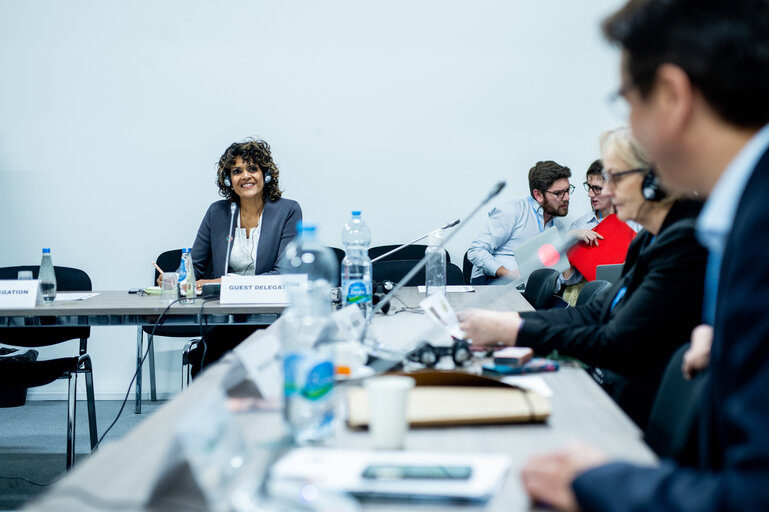 Fotografi 8: Ms Anukriti Hittle, Hawaii Climate Change Mitigation and Adaptation Coordinator at HawaiiDepartment of Land and Natural Resources during the meeting with delegation of European Parliament to COP24.