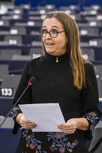 EP plenary session - Joint debate - European Foreign, Security and Defence Policy (Article 36 TEU)