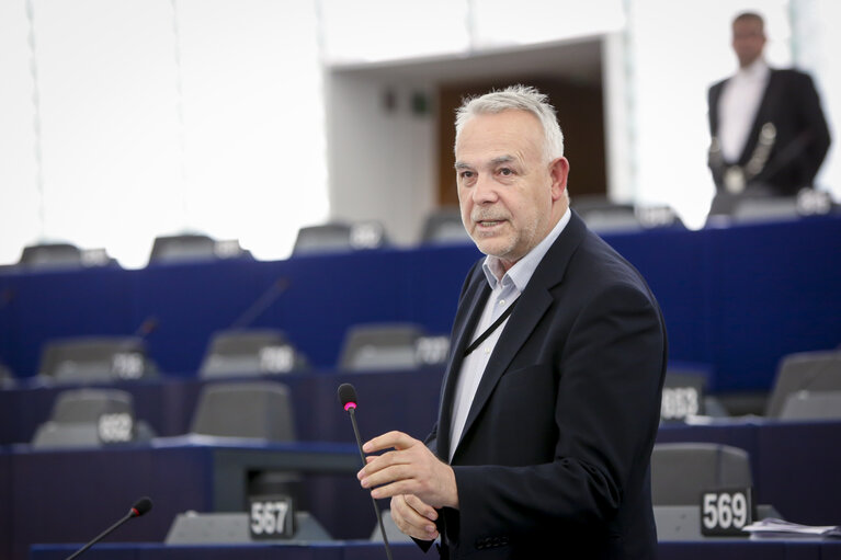 Photo 3 : EP plenary session- Spread of African Swine Fever