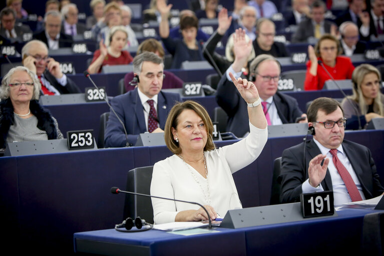 Nuotrauka 1: Nathalie GRIESBECK in the EP in Strasbourg